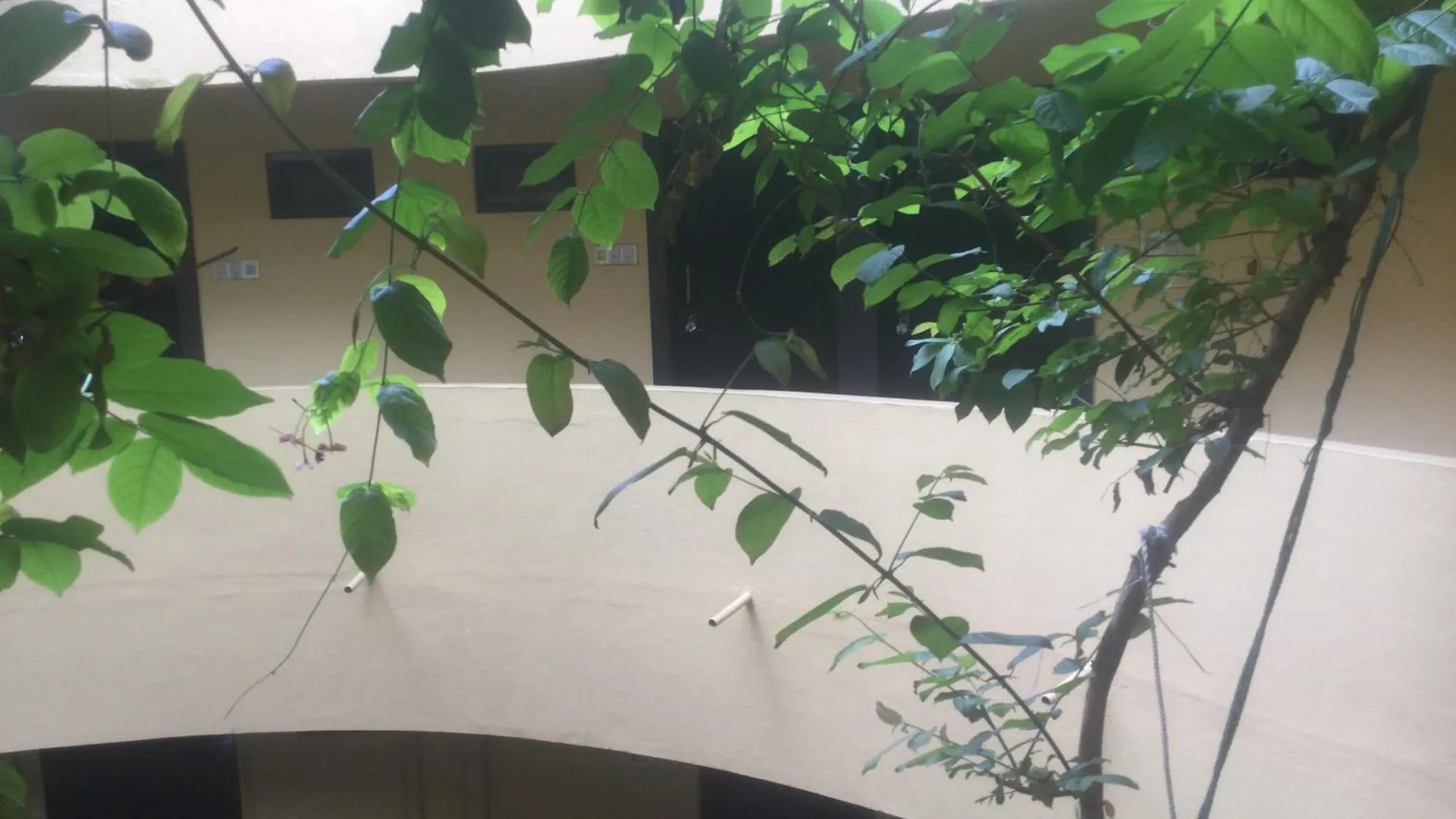 Mewar Inn Udaipur Guest house