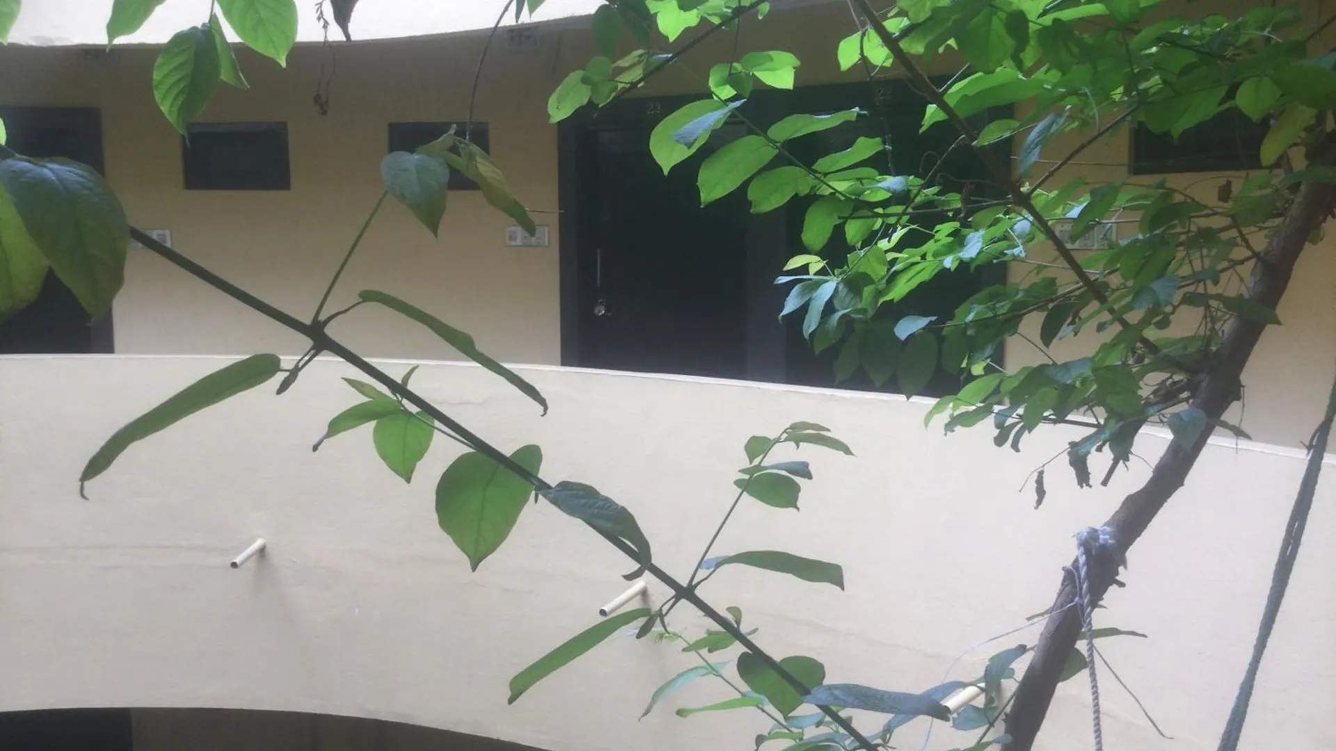 Guest house Mewar Inn Udaipur India