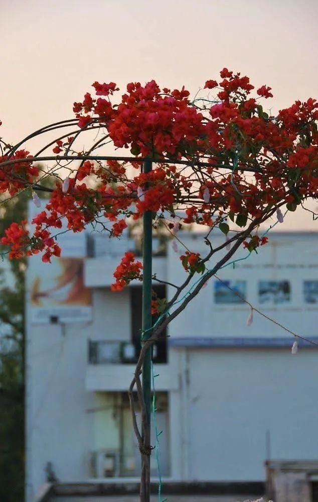Guest house Mewar Inn Udaipur India